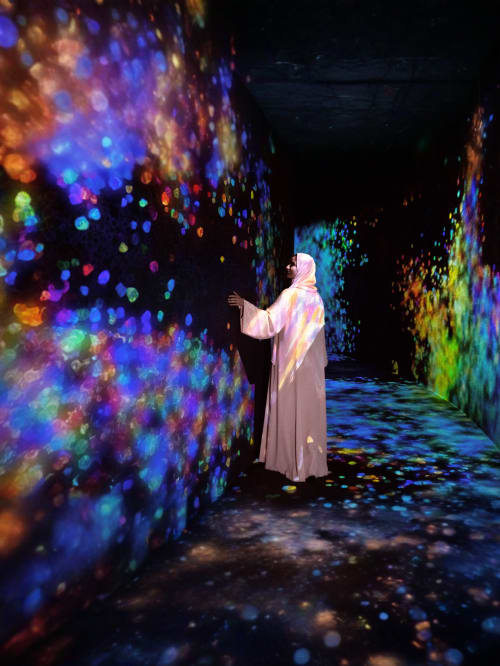 TeamLab Phenomena